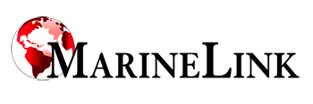 Red and white globe logo with bold black text reading "News Africa."